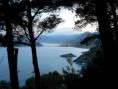 sannicola12 sannicola12